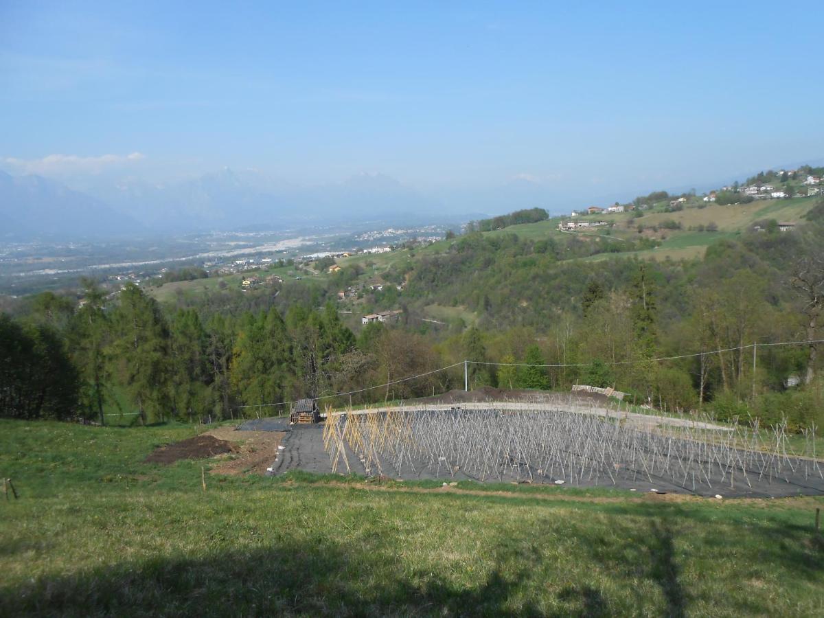 Agriturismo La Casa Nei Boschi Colderu Exterior photo